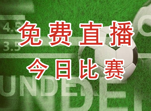 灵伍德老鹰女篮